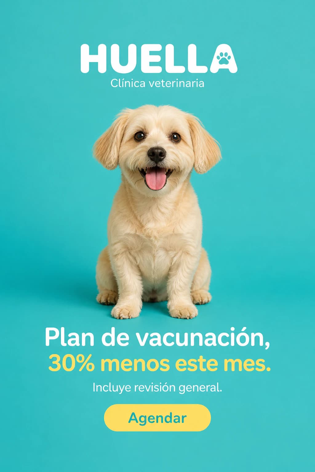 Anuncio de una veterinaria: plan de vacunación con descuento